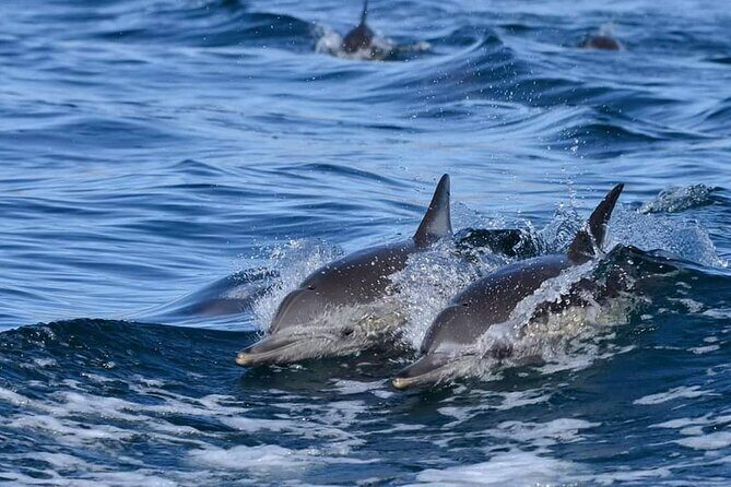 holy spirit island tour - What to Expect on the Tour