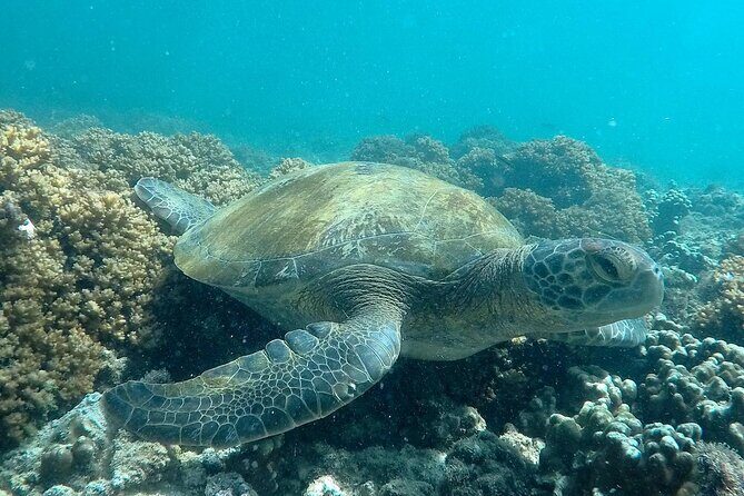 holy spirit island tour - Final Thoughts