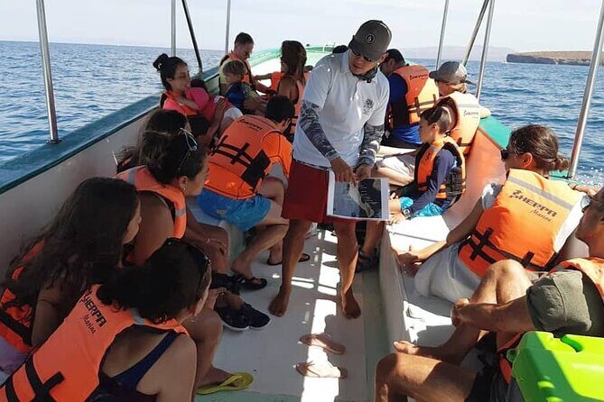 holy spirit island tour - FAQs