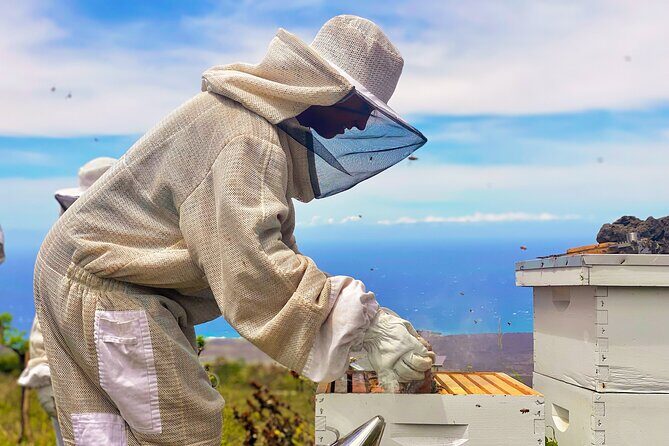 Honey Bee Adventure at the Maui Honey Bee Sanctuary - The Value for Money