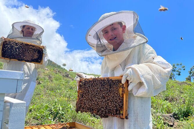 Honey Bee Adventure at the Maui Honey Bee Sanctuary - Practical Tips