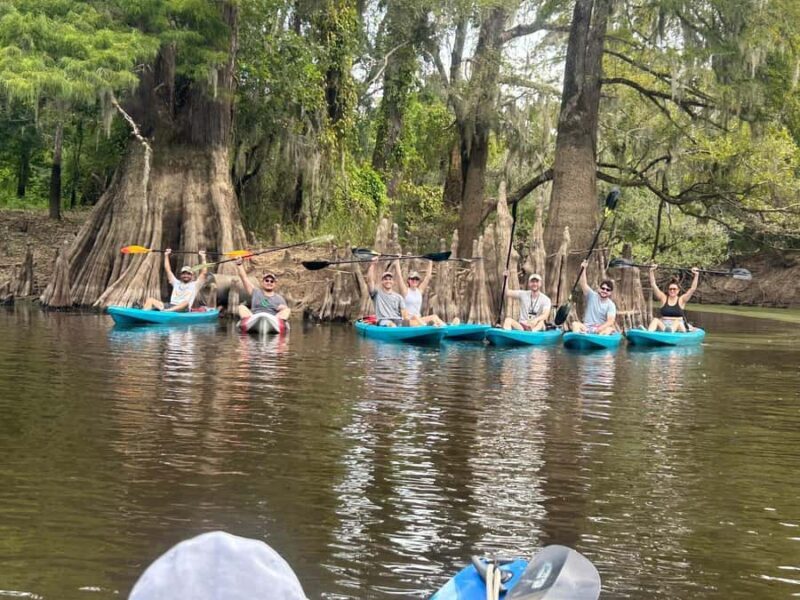 Honey Island Swamp Kayak Tour - Practical Details That Matter