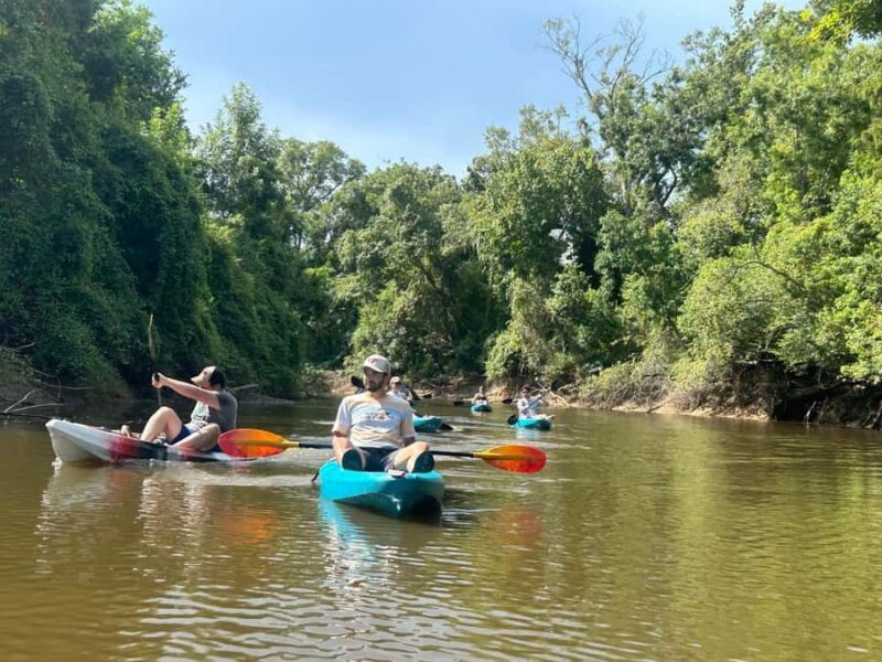 Honey Island Swamp Kayak Tour - What We Like and What to Consider