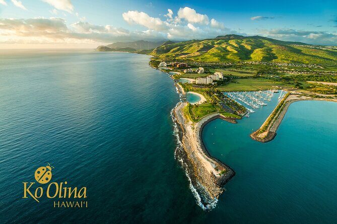 Honolulu Airport & Ko Olina Hotels Private Transfer by Minivan (up to 5 people) - How the Experience Looks in Practice