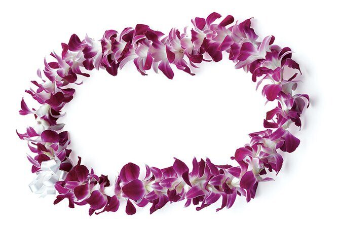Honolulu Airport: Waikiki Private Transfer With Lei Greeting - The Ride to Waikiki: What Youll Experience