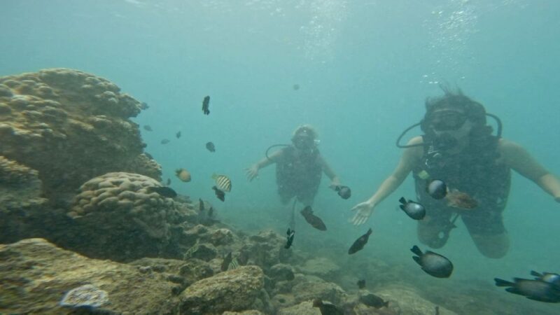 Honolulu: Beginner Scuba Diving Tour With Free Videos - Final Thoughts