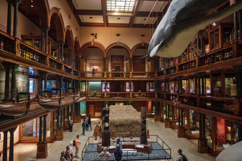 Honolulu: Bishop Museum General Admission Ticket - Authentic Visitor Experiences