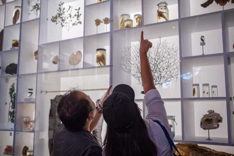 Honolulu: Bishop Museum General Admission Ticket - Final Thoughts: Is the Bishop Museum Worth It?