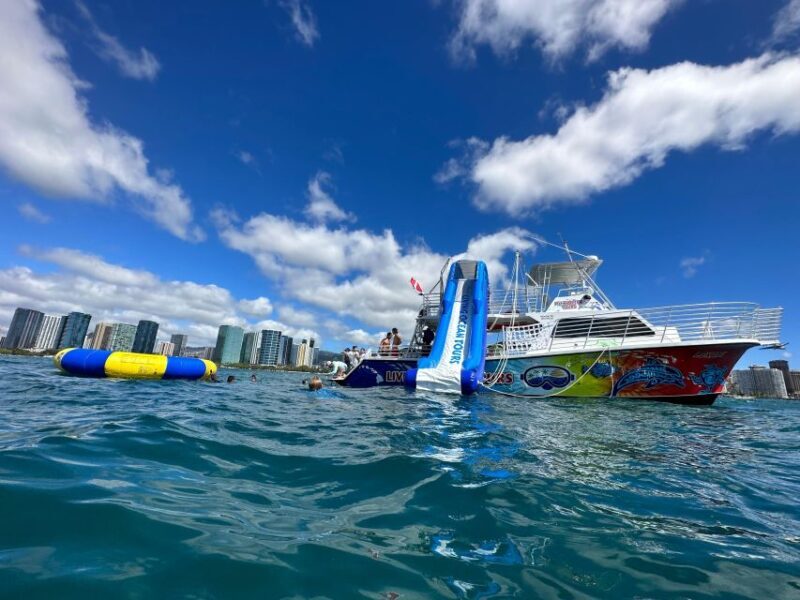 Honolulu: Deluxe Waikiki Snorkel and Wildlife Cruise - What to Expect from the Waikiki Snorkel and Wildlife Cruise