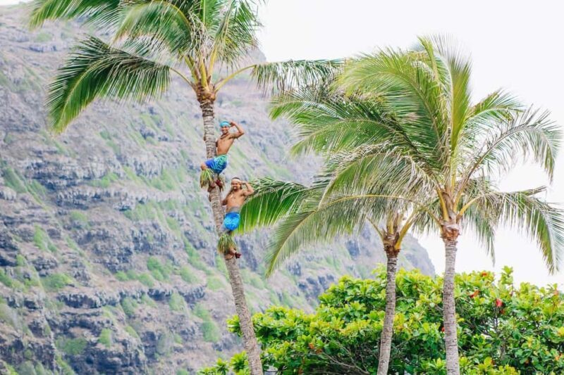 Honolulu: Ka Moana Luau Dinner and Show with Transportation - A Closer Look at the Ka Moana Luau Experience