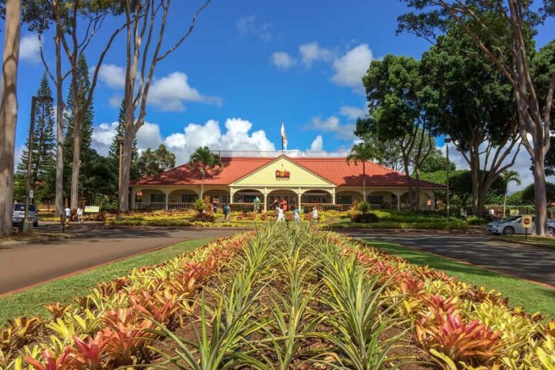 Honolulu: Ultimate Pearl Harbor and Circle Island Tour - A Deep Dive into What You Can Expect