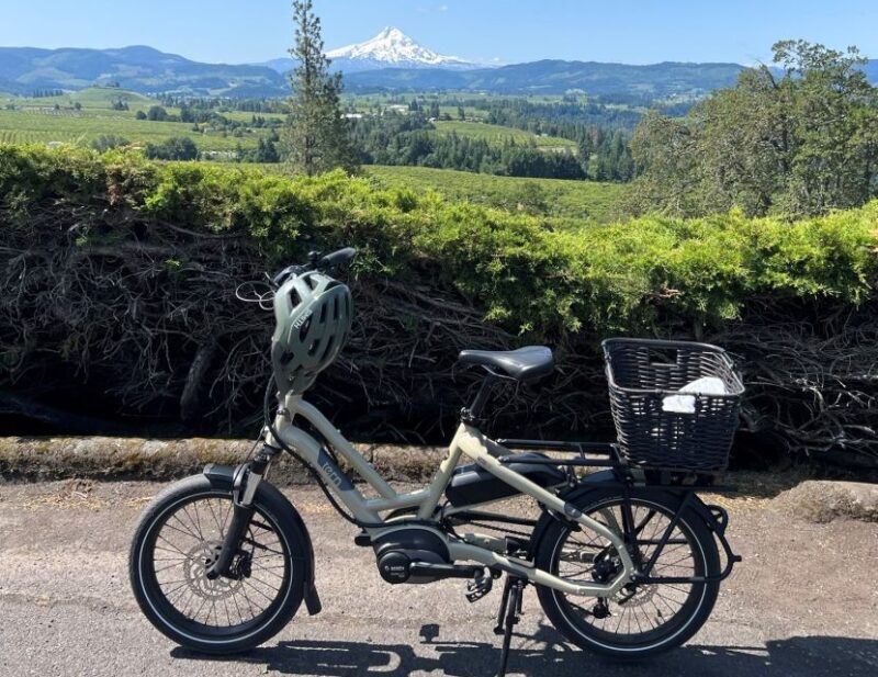 Hood River: All-Day E-Bike Rental - Who Is This Experience Best For?