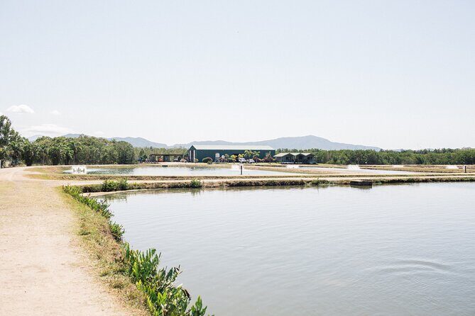 Hook-a-Barra Gourmet Farm Tour - The Experience in a Nutshell