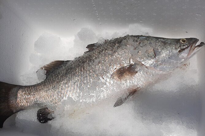 Hook-a-Barra Gourmet Farm Tour - FAQs