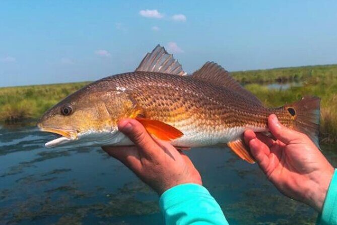 Hooked on the Bayou: New Orleans Kayak Fishing Trips - FAQ