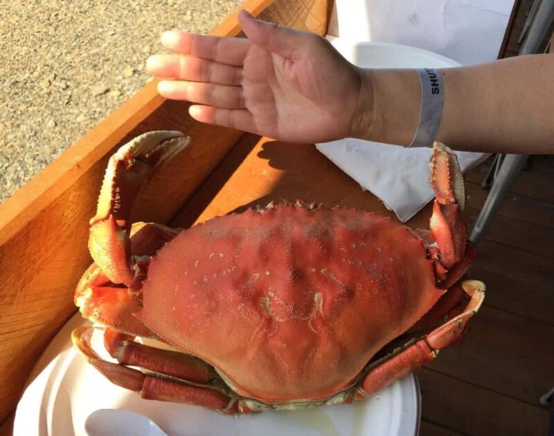 Hoonah: Icy Strait Village Tour and Crab Feast - A Deep Dive into the Experience
