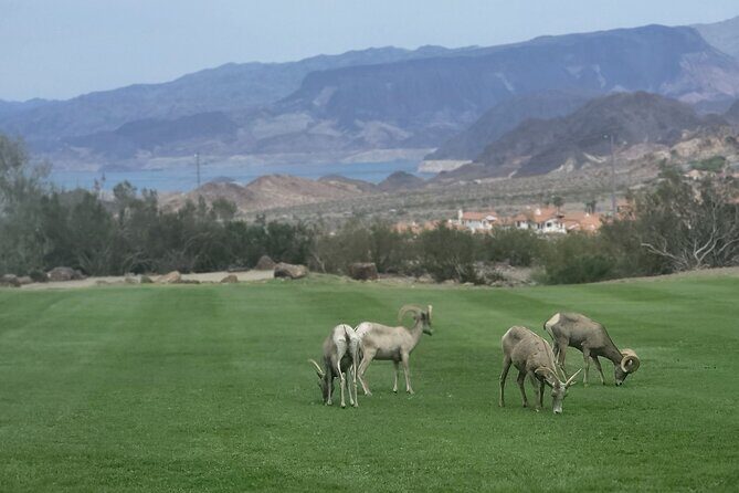 Hoover Dam Self-Guided Tour on a CanAm Trike - Final Thoughts and Who It’s Best For