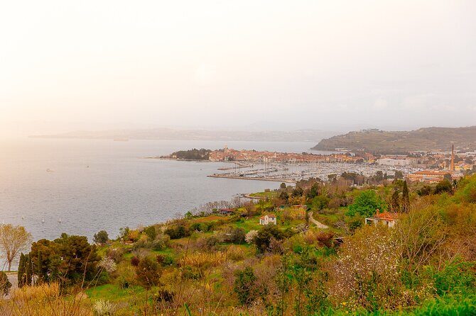 Hop and Taste Slovenia Hop on-Hop off / Hop & Taste - What the Tasting Experience Brings