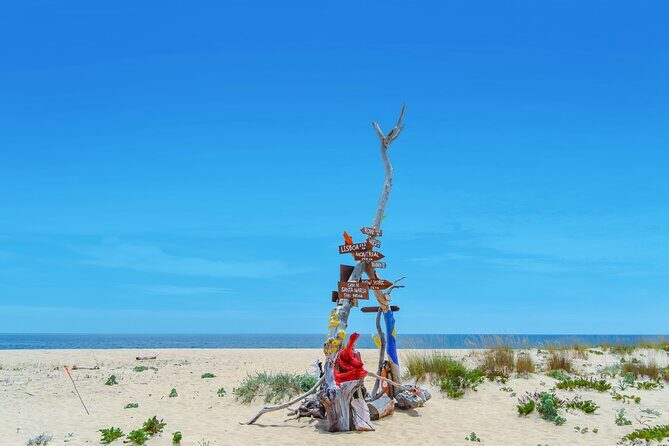 Hop On Hop Off 3 Islands: Deserta, Farol and Culatra - What’s Included and What’s Not