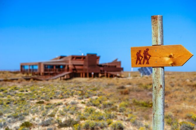 Hop On Hop Off 3 Islands: Deserta, Farol and Culatra - Transportation, Timing, and Group Size