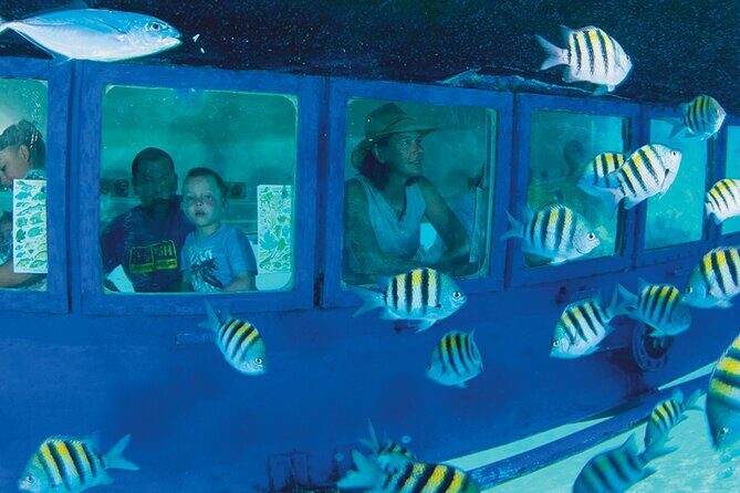 Hop-on Hop-off City Tour Cancun plus Submarine or Bodyboard Experience - A Detailed Look at the Tour Experience