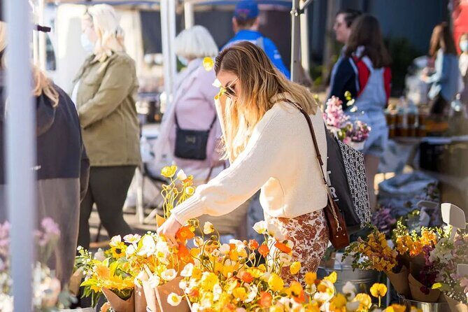 Hop on Hop off - Tamborine Rainforest Skywalk + Glow Worm Caves - Real Travelers Perspectives