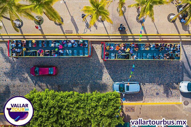 Hop On Hop Off Tour with Free Stops in Puerto Vallarta - What Are Travelers Saying?
