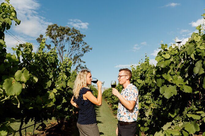 Hop on Hop off Wine tasting tour to Tamborine Mountain - The Pros and Cons