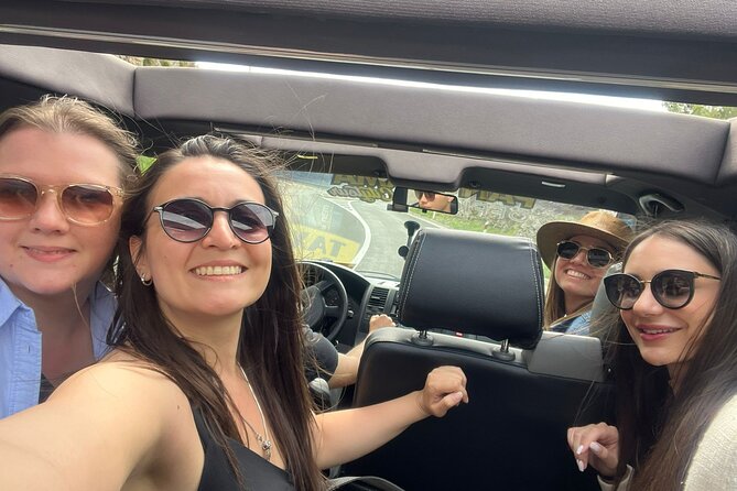 Hop-On Hop-Off Yellow Cabrio Tour: Discover Dubrovnik in 1.5 hour - Logistics: mobile ticket, group size, accessibility basics