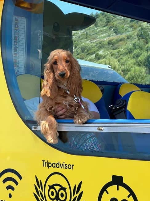 Hop-On Hop-Off Yellow Cabrio Tour: See Dubrovnik in 90mins - Final Thoughts: Is It Right for You?