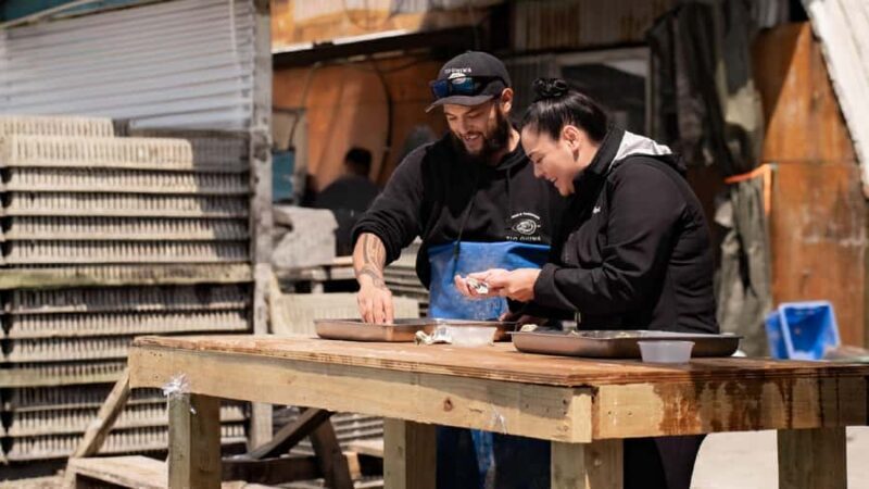 hope: Guided Cruise with Oyster Farm Visit and Lunch - Discovering Hiwa Harbour and Its Natural Beauty