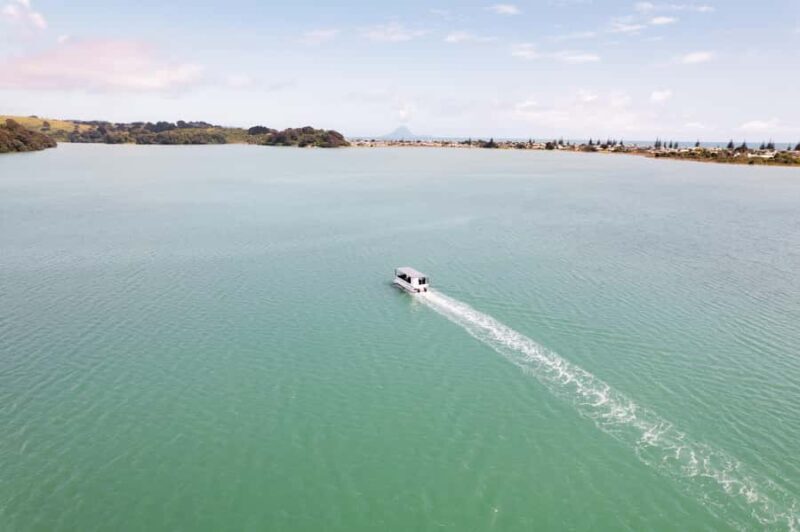 hope: Guided Cruise with Oyster Farm Visit and Lunch - Who Should Consider This Tour?