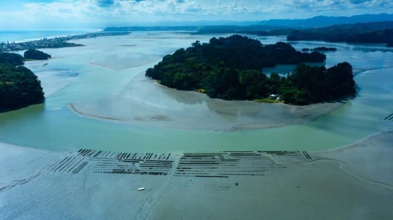 hope: Guided Cruise with Oyster Farm Visit and Lunch - Final Thoughts