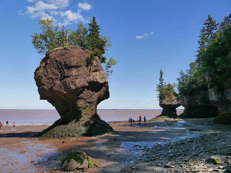 Hopewell Cape: Hopewell Rocks Admission - What to Expect from Your Visit