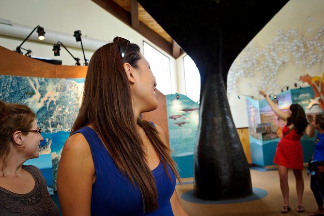 Hopewell Rocks Admission - Pricing and Value