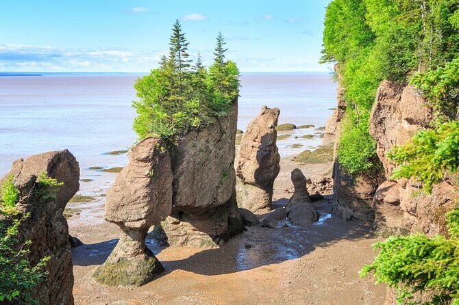 Hopewell Rocks Bay of Fundy Tour - Key Points