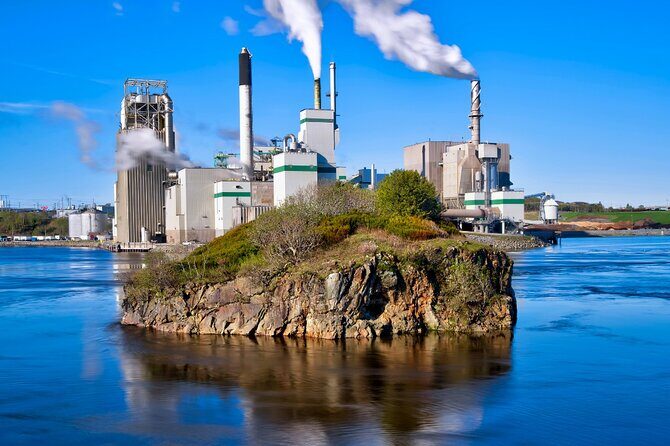 Hopewell Rocks Bay of Fundy Tour - Authentic Experiences and Practical Tips