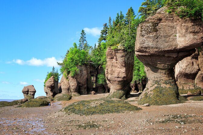 Hopewell Rocks Bay of Fundy Tour - Final Thoughts
