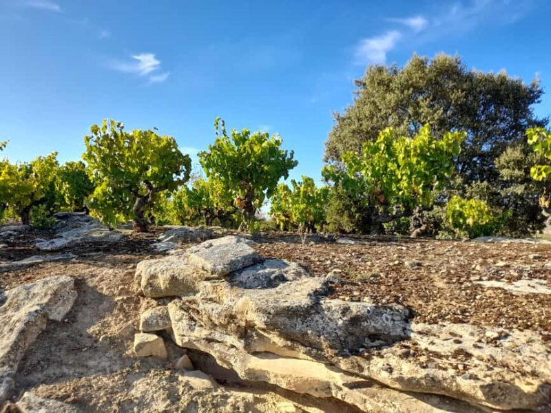 HOPLITA and FRIENDS tasting - Authentic Feedback from Travelers