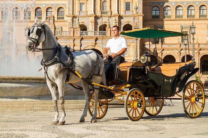 Horse and Buggy Ride in Seville with guide - Practical Tips for Your Ride