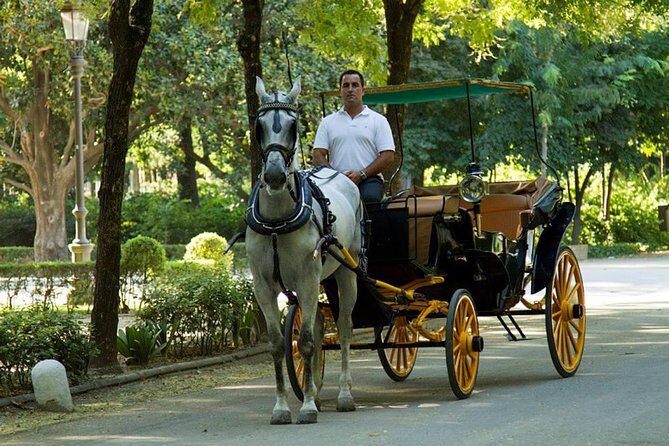 Horse and Buggy Ride in Seville with guide - Who Will Love This Tour?