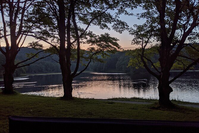 Horse and Carriage Ride through Moses H. Cone Park - Horse and Carriage Ride through Moses H. Cone Park Review