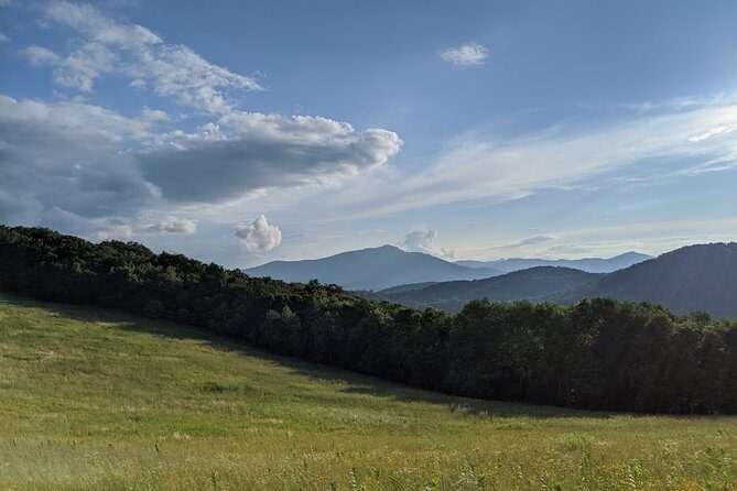 Horse and Carriage Ride through Moses H. Cone Park - Key Points