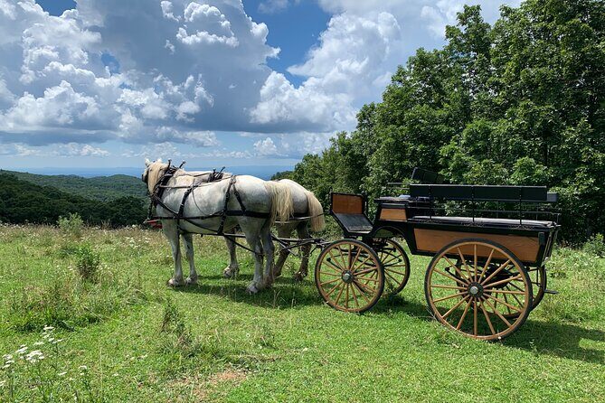 Horse and Carriage Ride through Moses H. Cone Park - FAQ