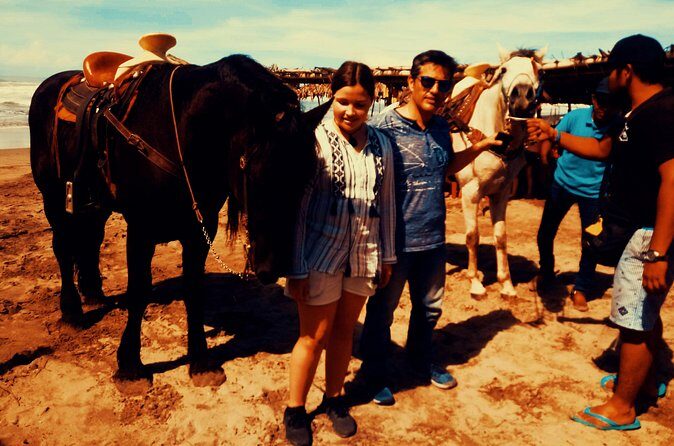 Horse Back Riding And Baby Turtle Camp Visit - Final Thoughts