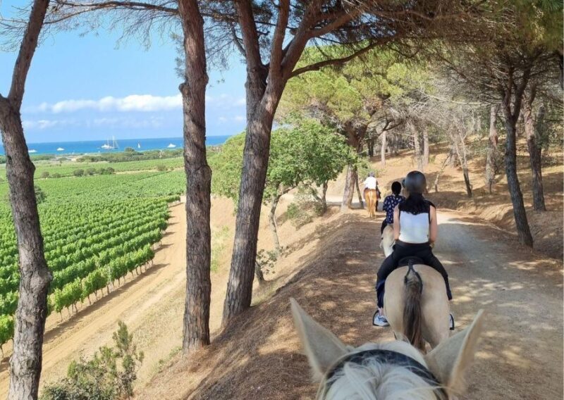 Horse back riding + wine tasting in Ramatuelle - Horseback Riding + Wine Tasting in Ramatuelle – A Relaxed Yet Memorable Experience