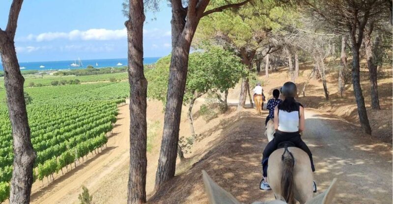 Horse back riding + wine tasting in Ramatuelle - The Practicalities and Considerations