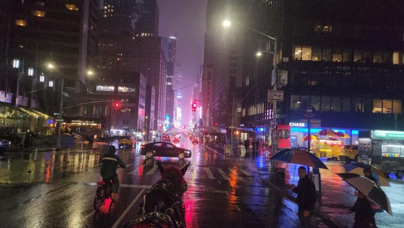 Horse Carriage Ride at Rockefeller Center & Times Square - FAQ