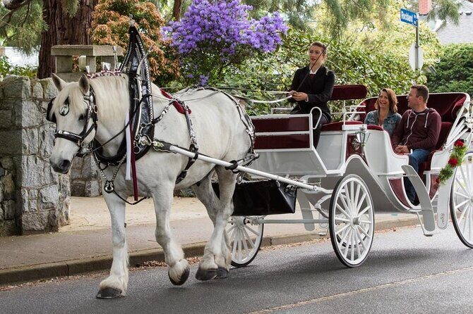 Horse Carriage Romantic Ride (VIP-Private) in Central Park 1964 - Authentic Feedback and Real Experiences