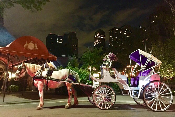 Horse Carriage Romantic Ride (VIP-Private) in Central Park 1964 - Who Will Love This Experience?